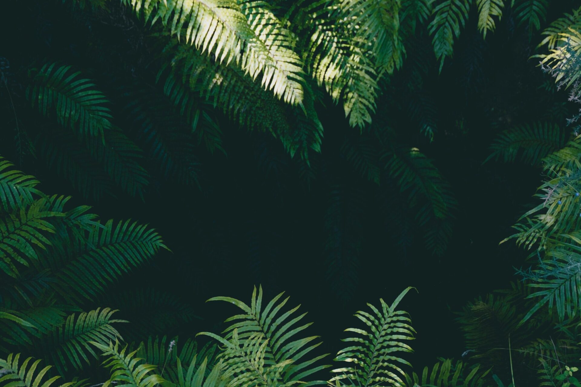 https://unsplash.com/photos/jqgsM3B9Fpo