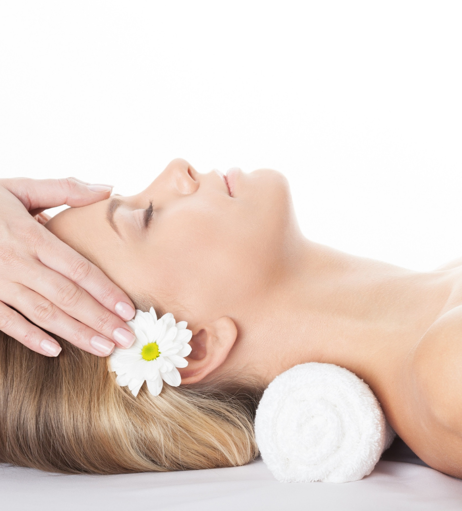 Blossom and Bloom Package Image