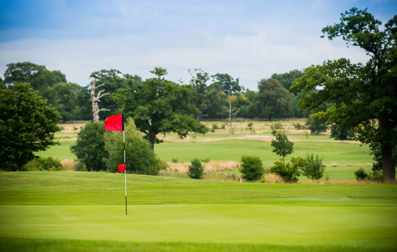 Golf Mega Menu Image