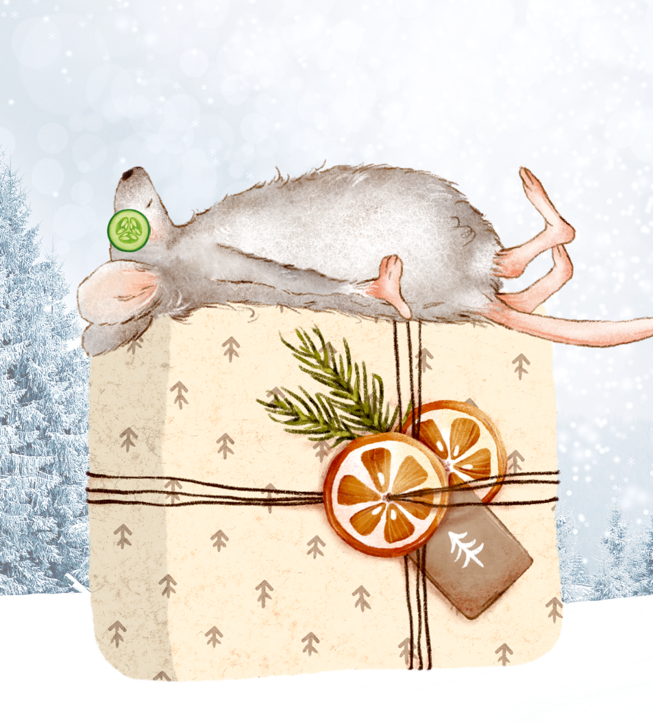 Winter Spa-kle Package Image