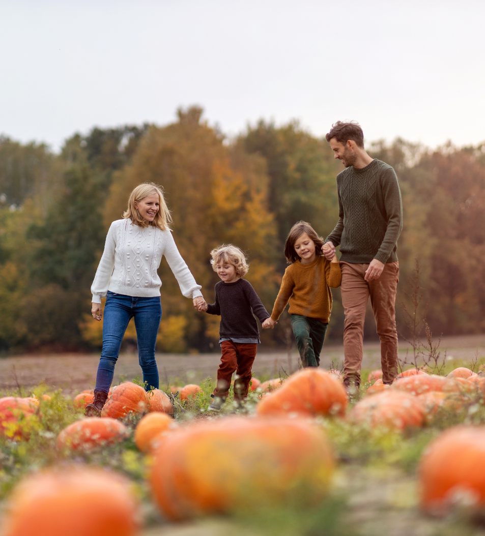 October One Night Family Break Package Image