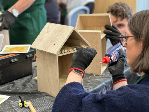 Team Building – Bee Hotel Column Image