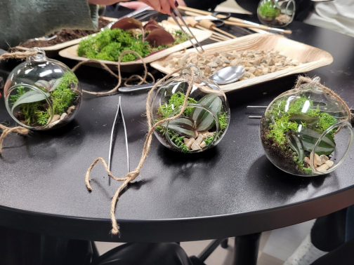Team Building – Terrarium Workshop Column Image