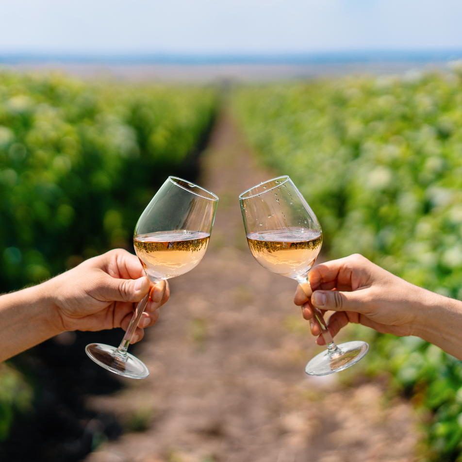 Wine Lovers Retreat whats on hero image