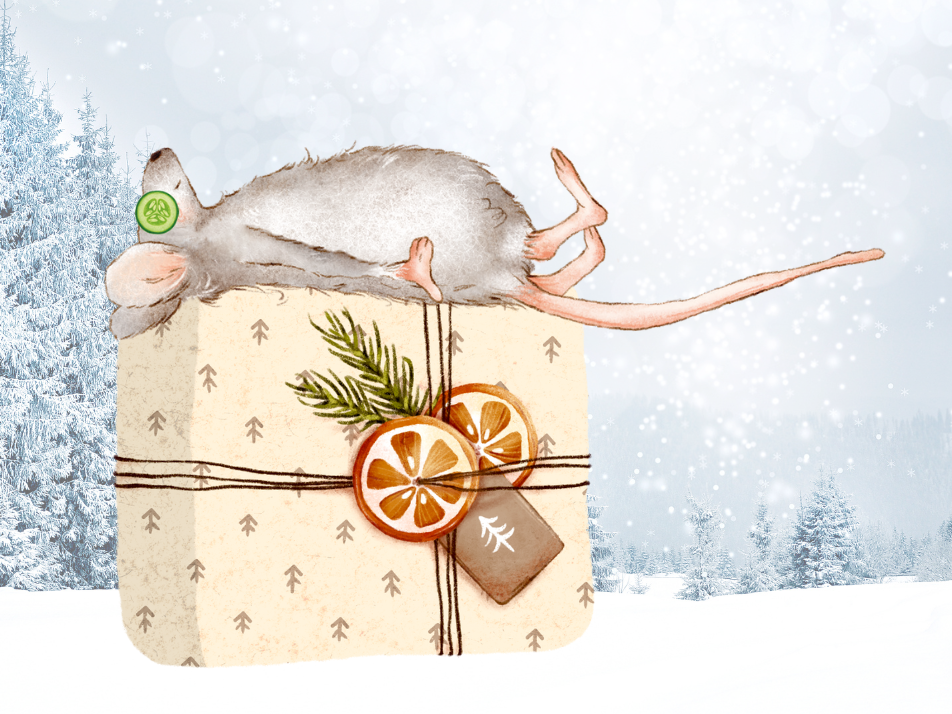 Winter Spa-kle Retreat Text Image Widget