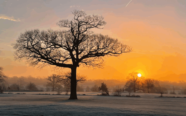 Homepage – Hero Image Landscape – Winter