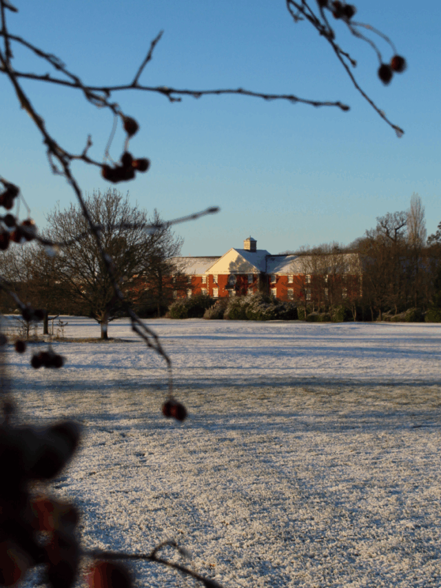 Homepage – Hero Image Portrait – Winter