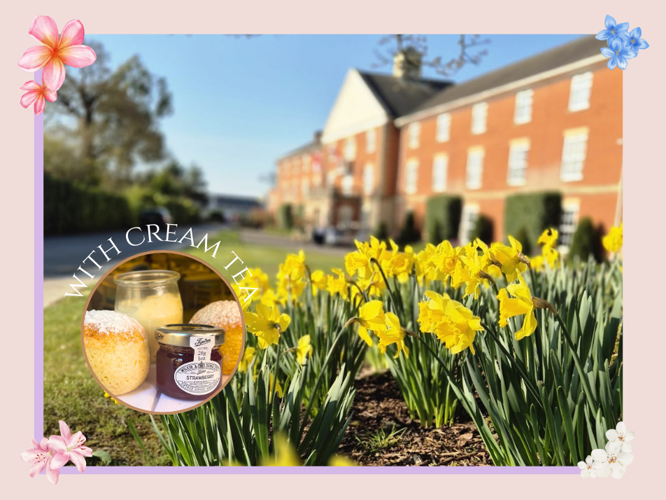 A photo of whittlebury park hotel with dandelions sprouting up from the grass at the front of the entrance, on a pink coloured background