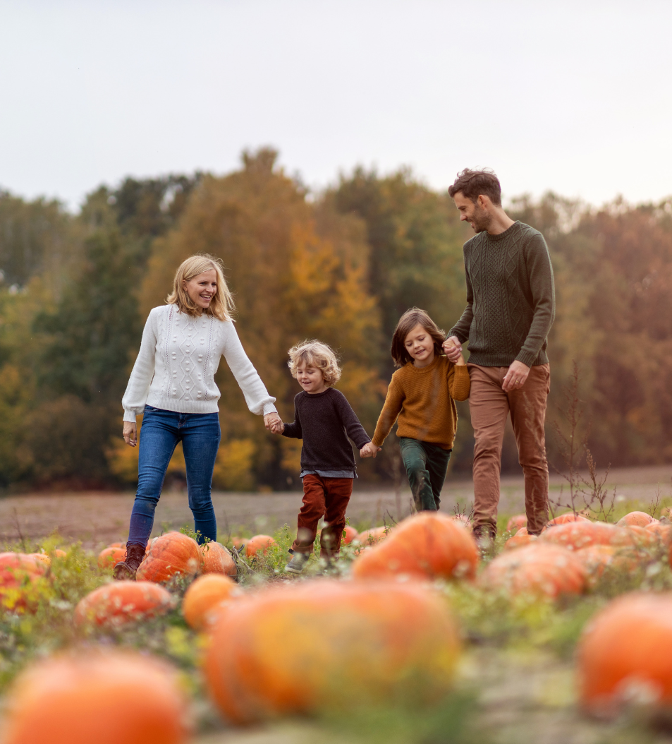 Autumn Family Break Package Image