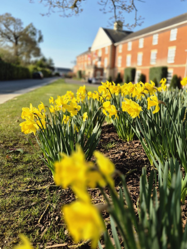 Homepage – Hero Image Portrait – Spring