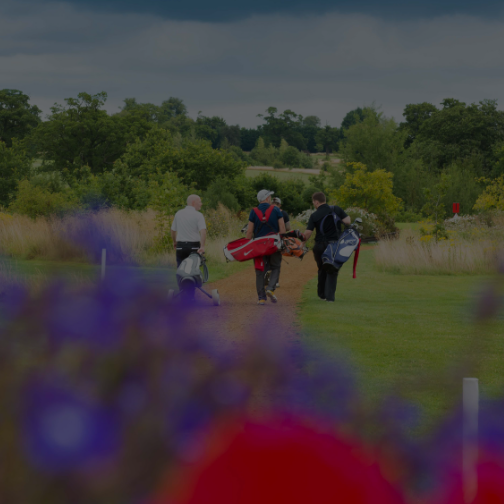 A group of golfers carrying their golf bags walking across the course