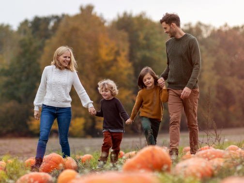 A family of four wearing autumn clothes, walking through a pumpkin field