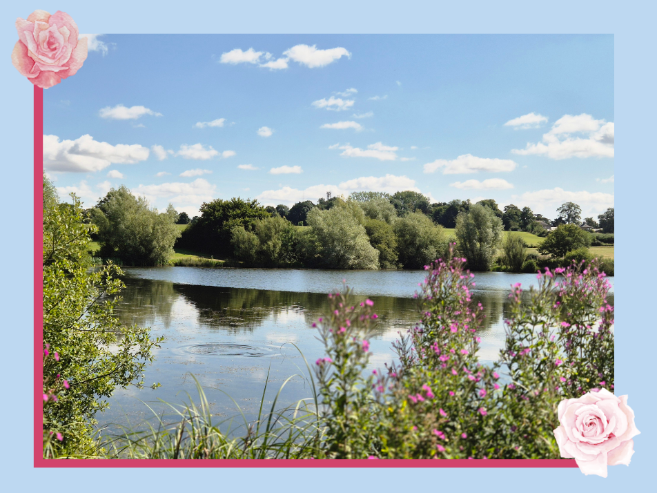 Summer Supper Text Image Widget