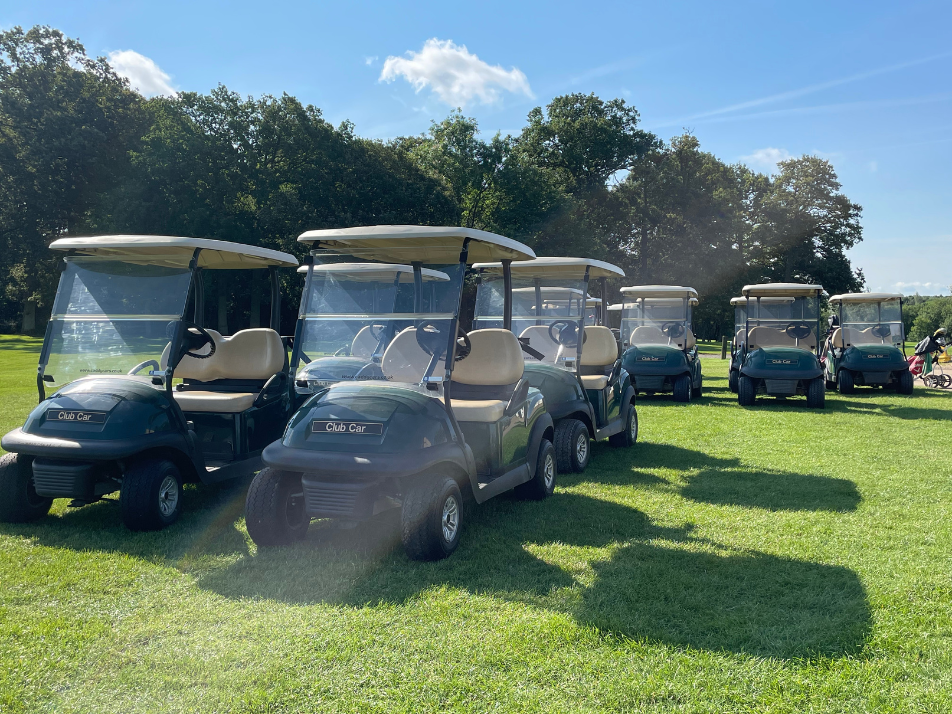 A collection of golf buggies parked on greens during a bright sunny day