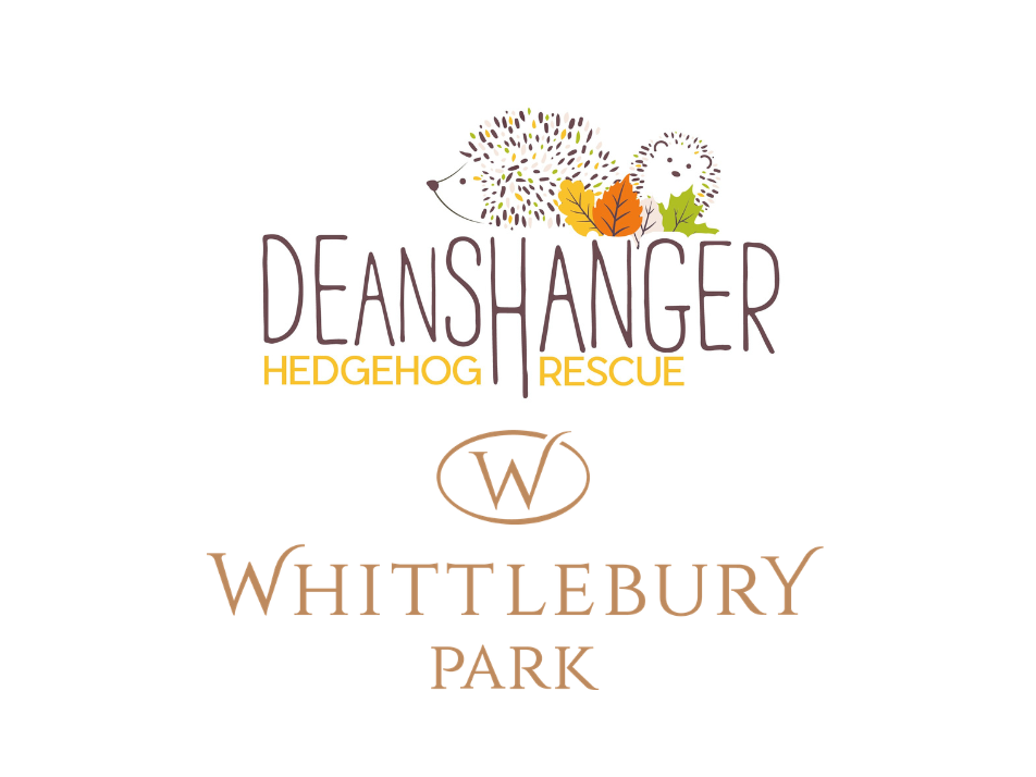 Deanshanger Hedgehog Rescue and Whittlebury Park Partnership Text Image Widget