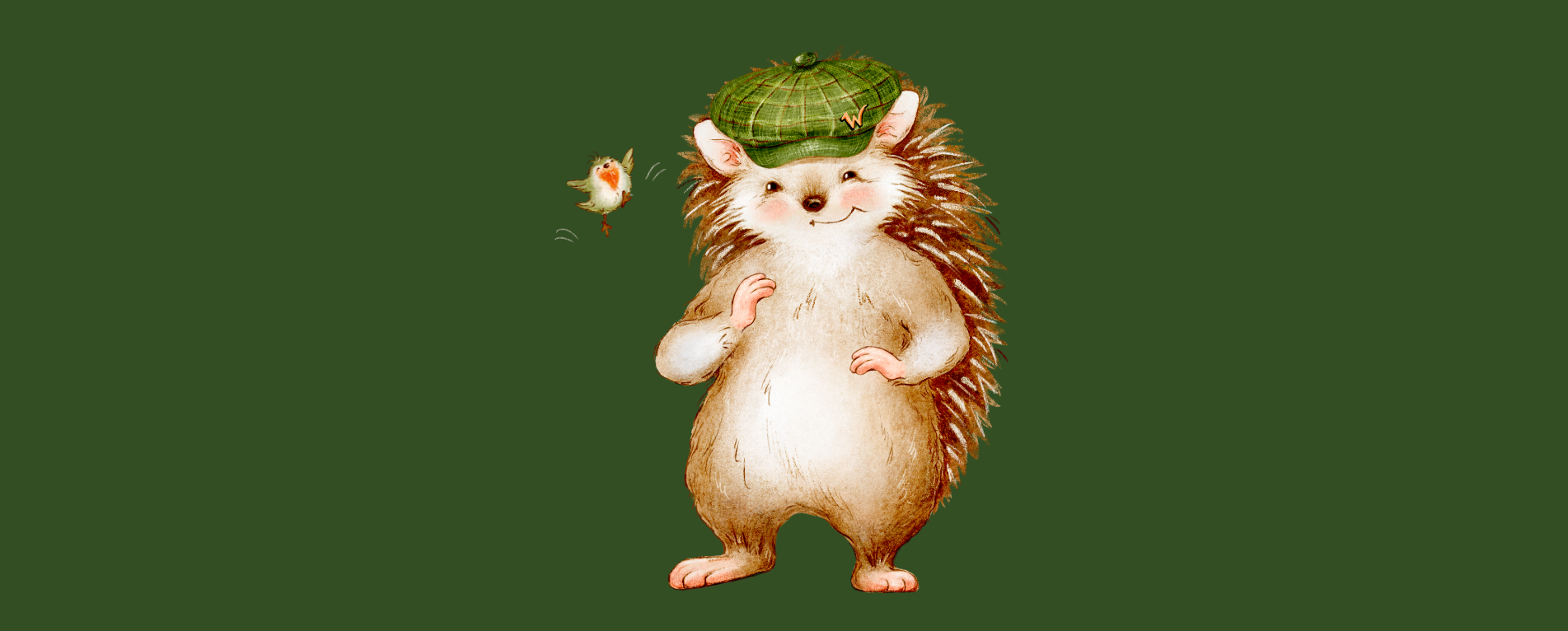Harold The Hedgehog Full Width CTA