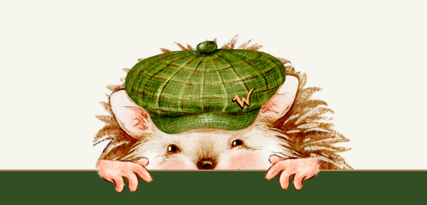 Meet Harold the Hedgehog Blog Hero Image