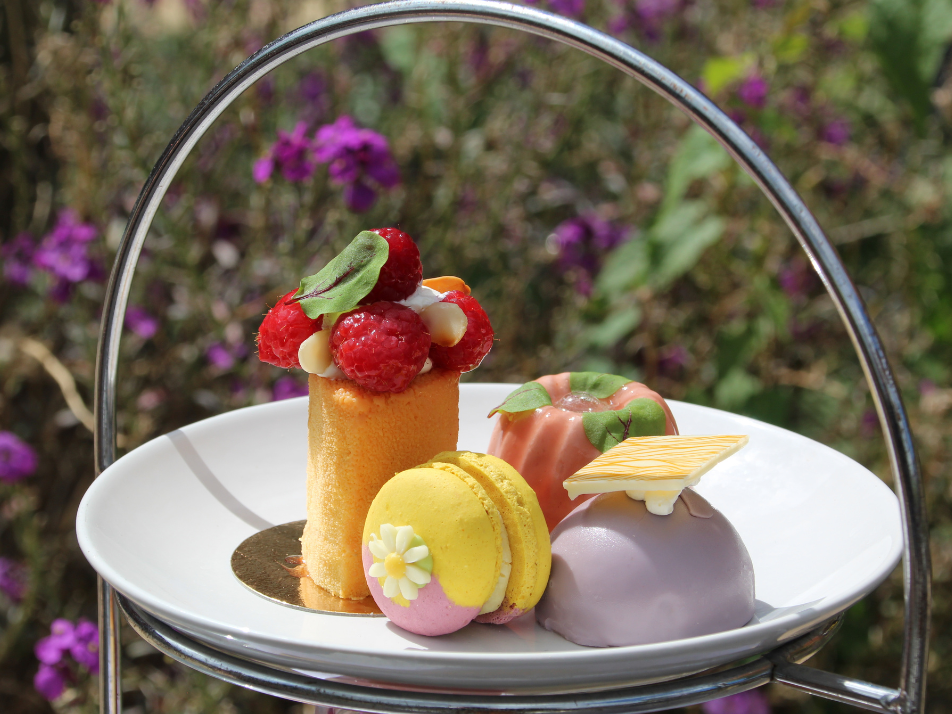 A colourful summer afternoon tea plate of sweet treats infront of a lilac bush